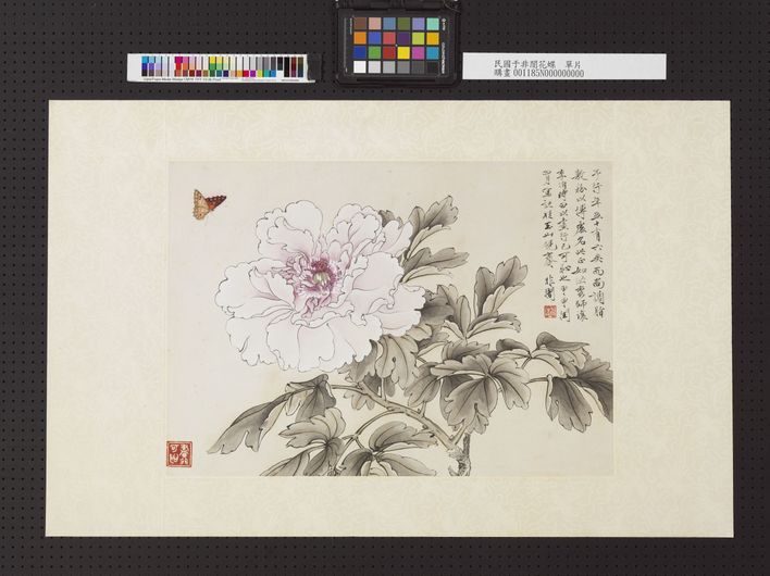 花蝶图缩略图
