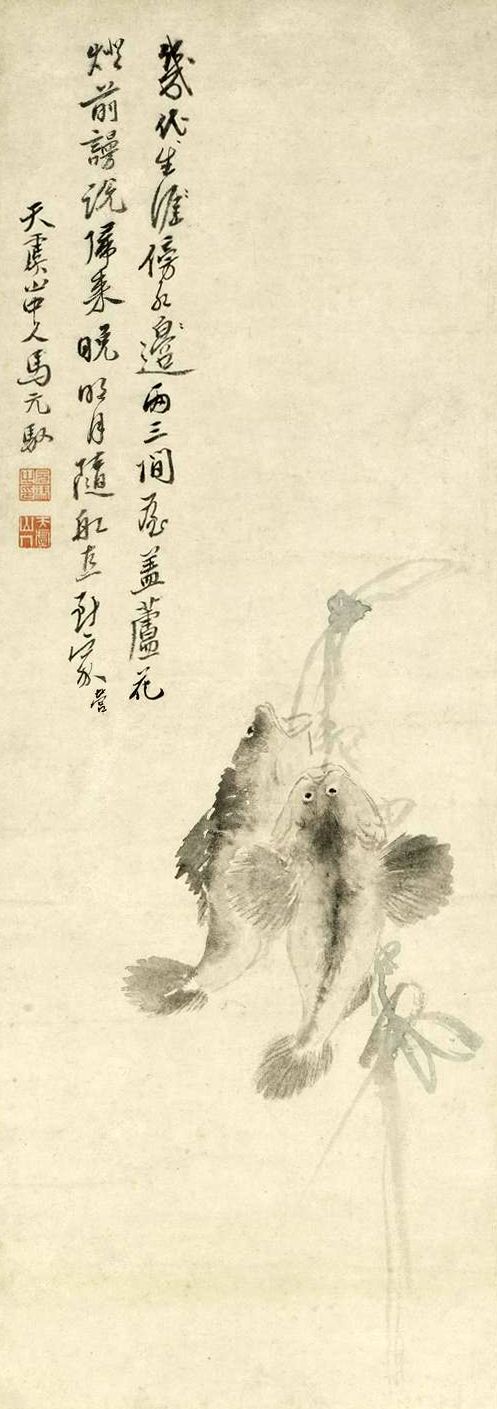 鲈鱼图缩略图