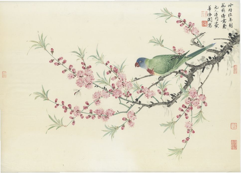 桃花鹦鹉图预览图