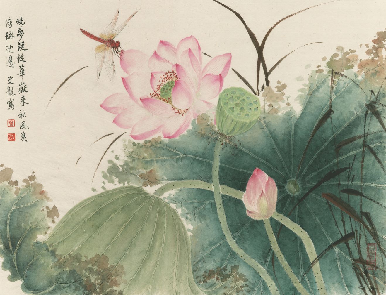 荷花蜻蜓图缩略图