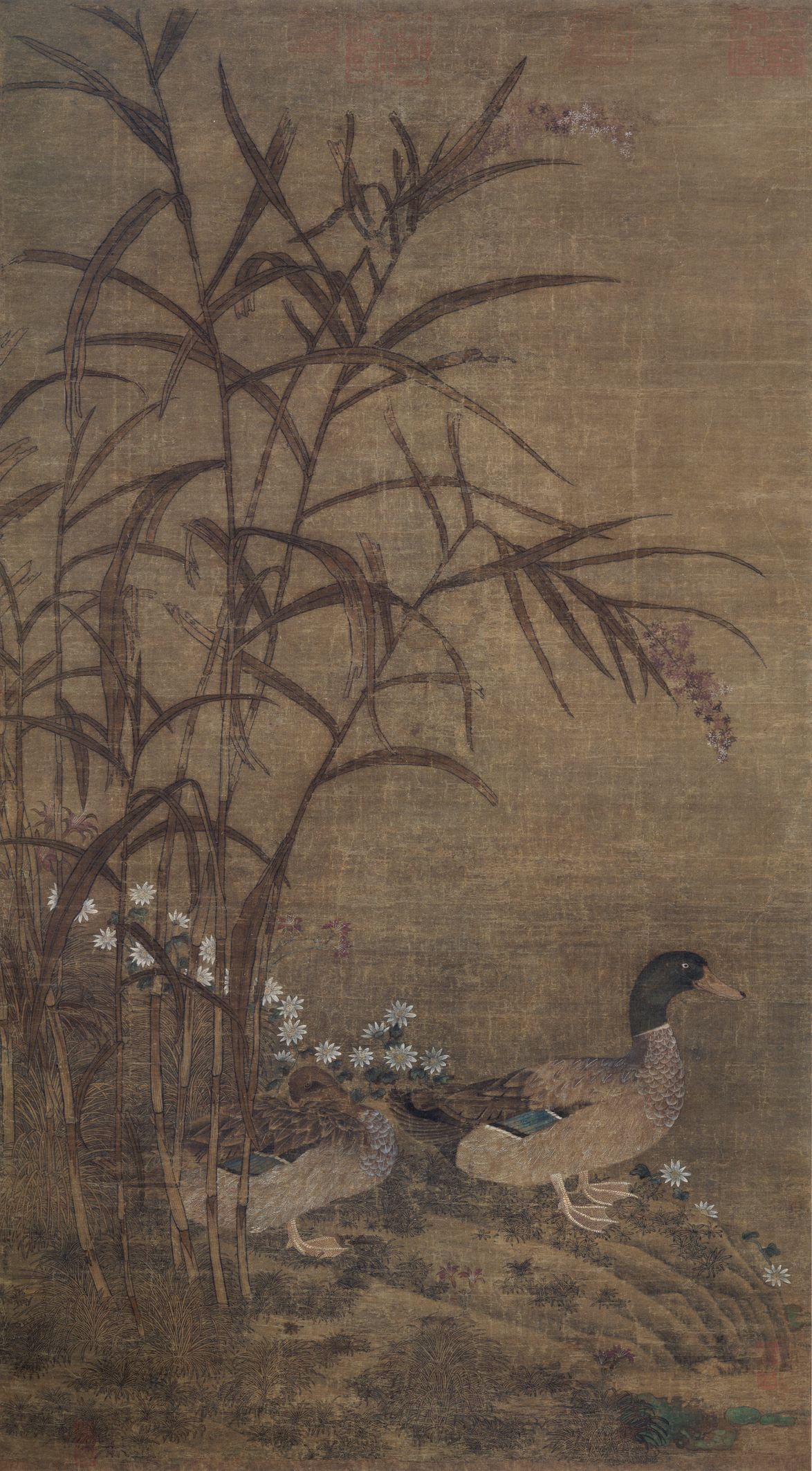 芦鸭图预览图