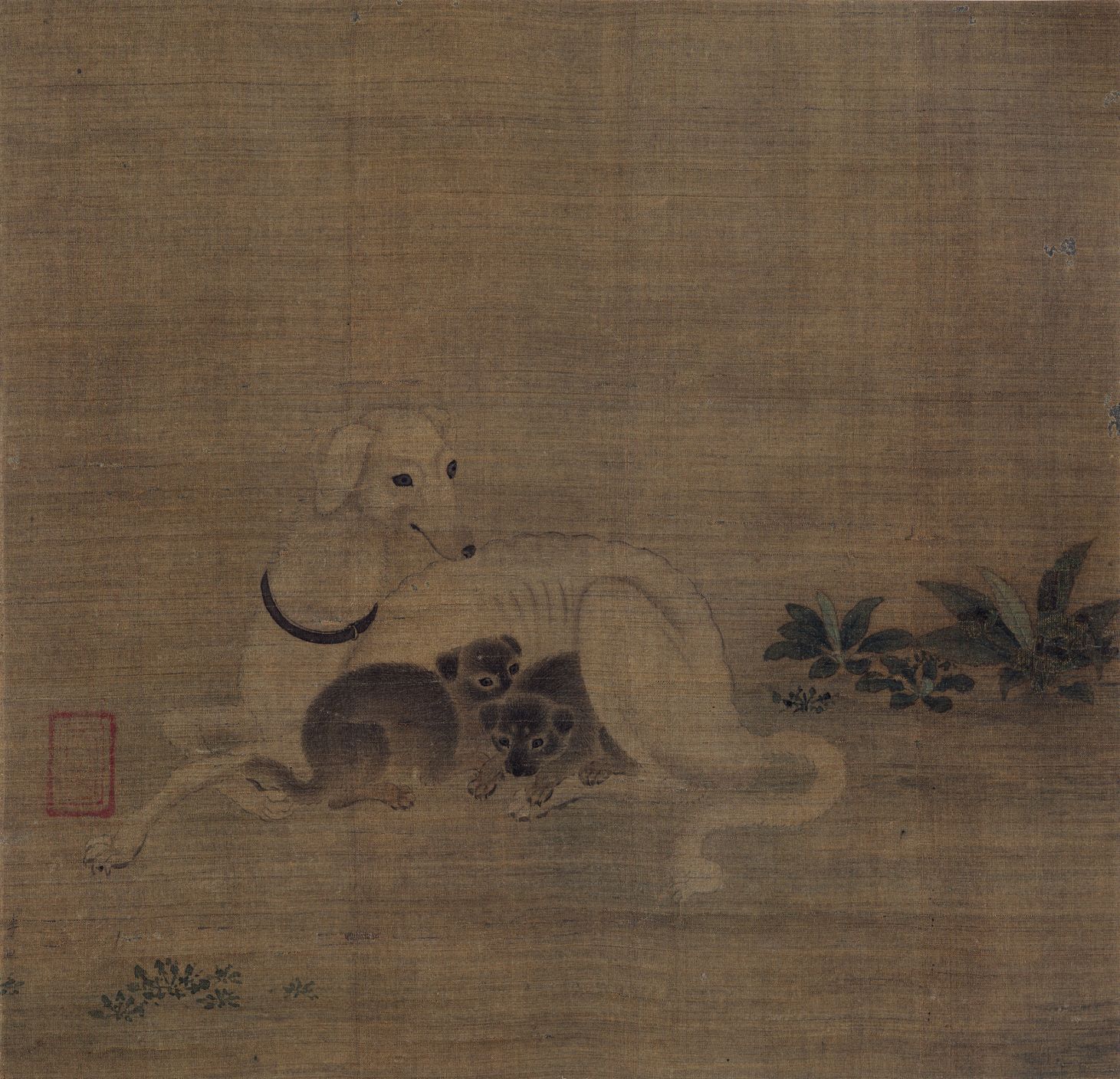 母子犬图预览图