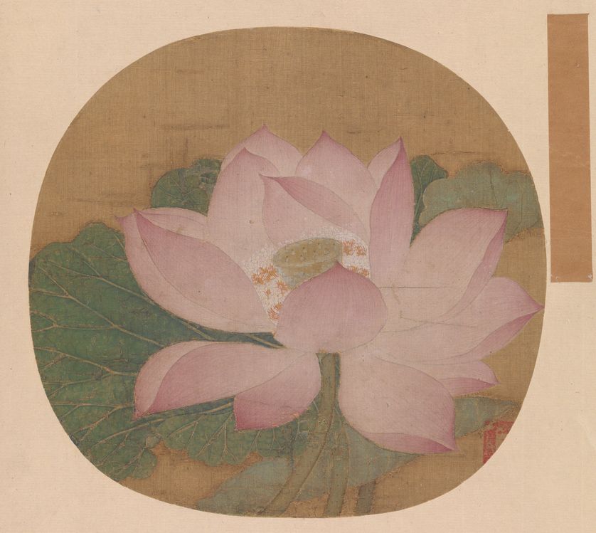 出水芙蓉图缩略图