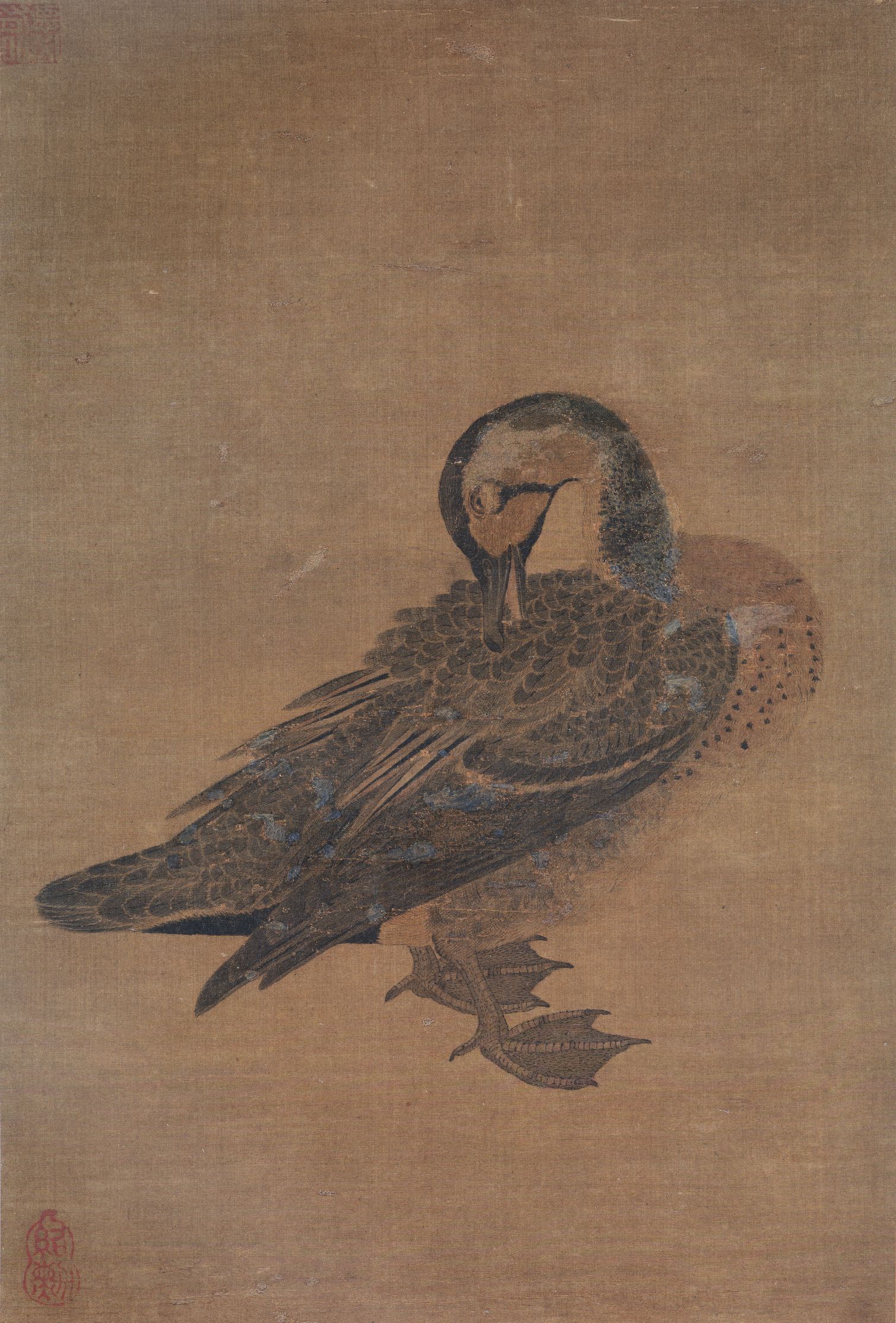 鸭图预览图