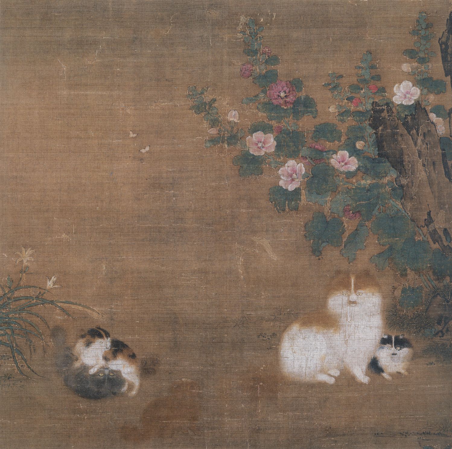 蜀葵游猫图缩略图