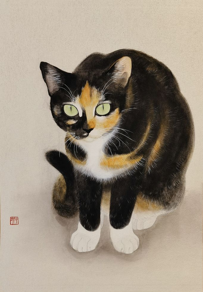 狸奴小影5缩略图