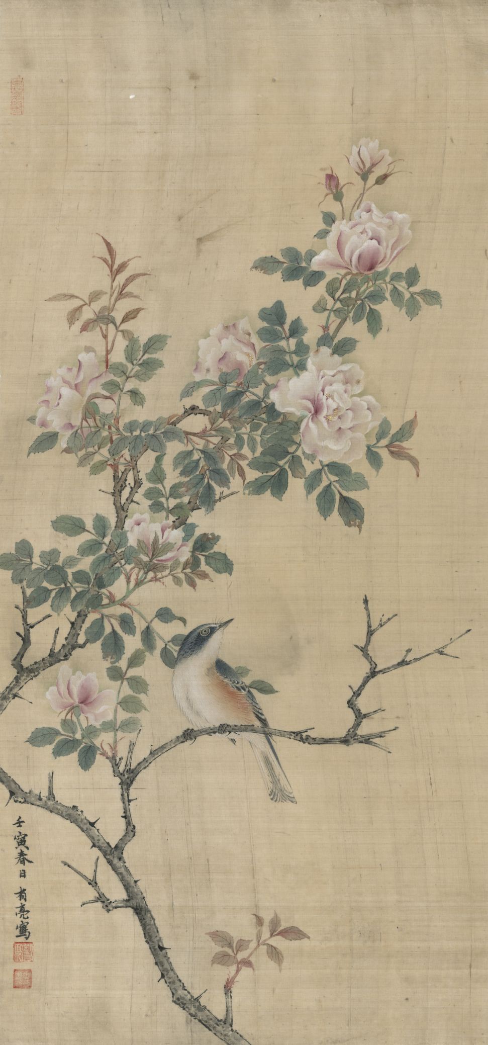 蔷薇山鸟缩略图