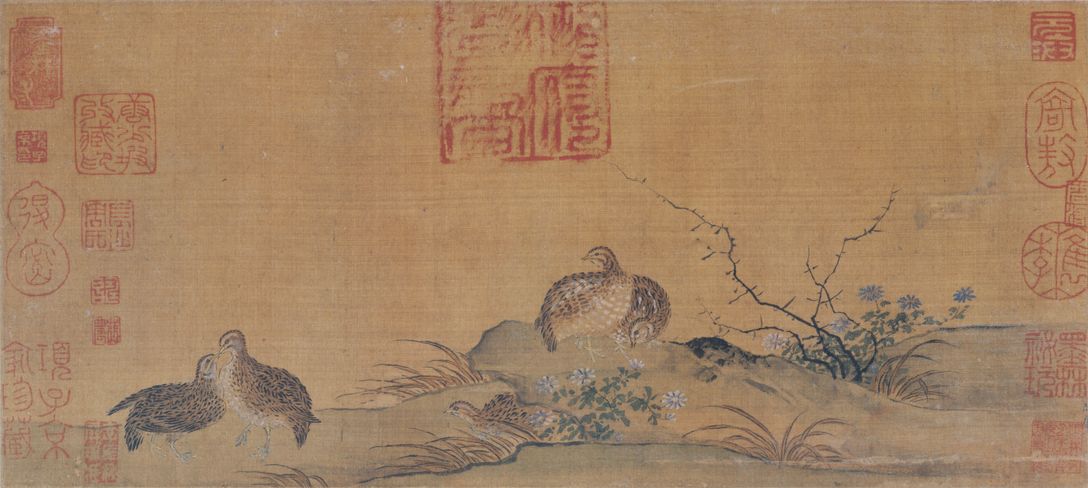 鹌鹑图缩略图