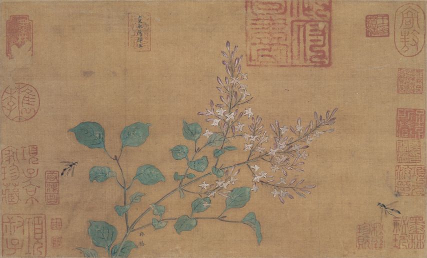 丁香飞蜂图缩略图