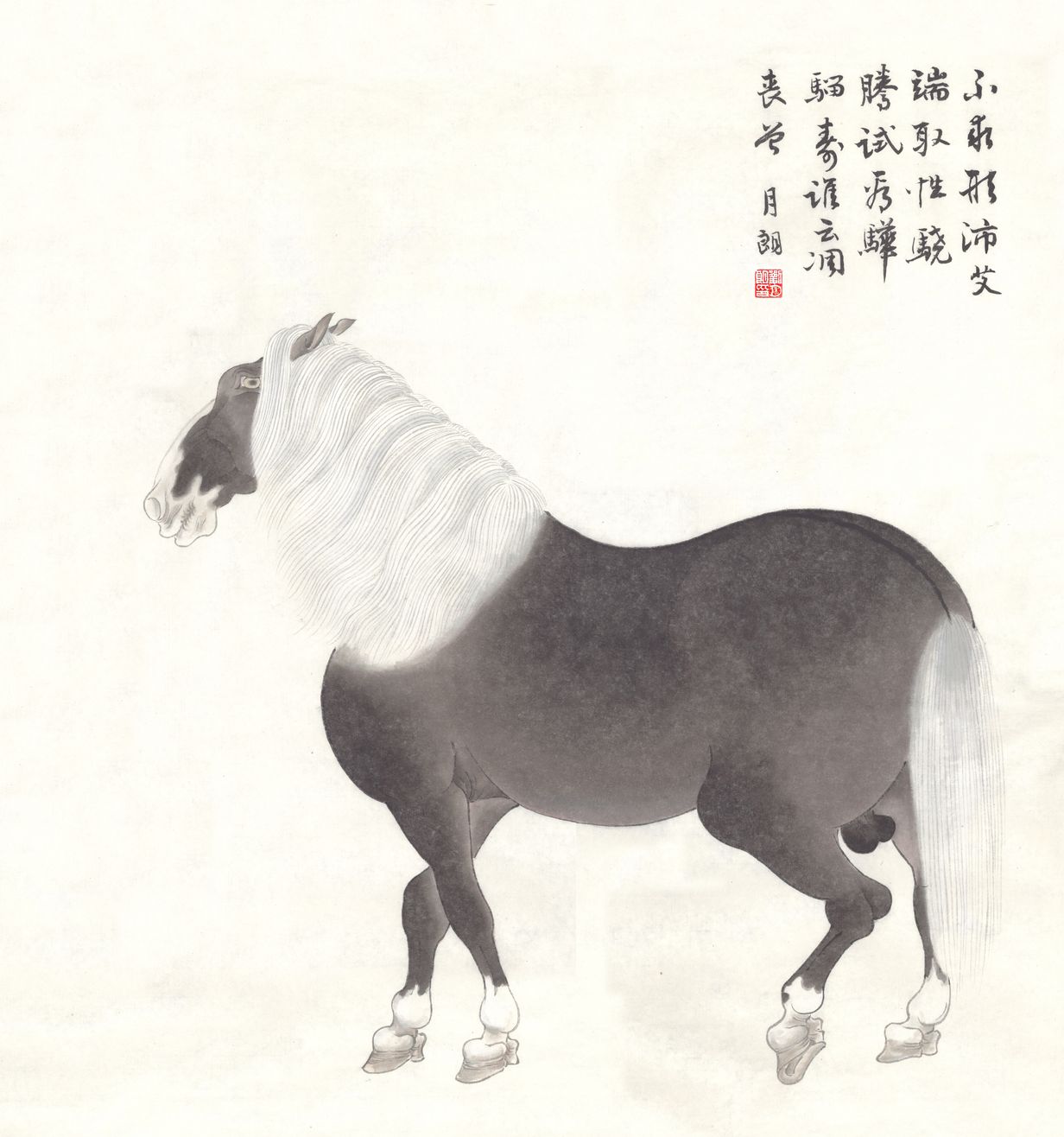 马性图预览图