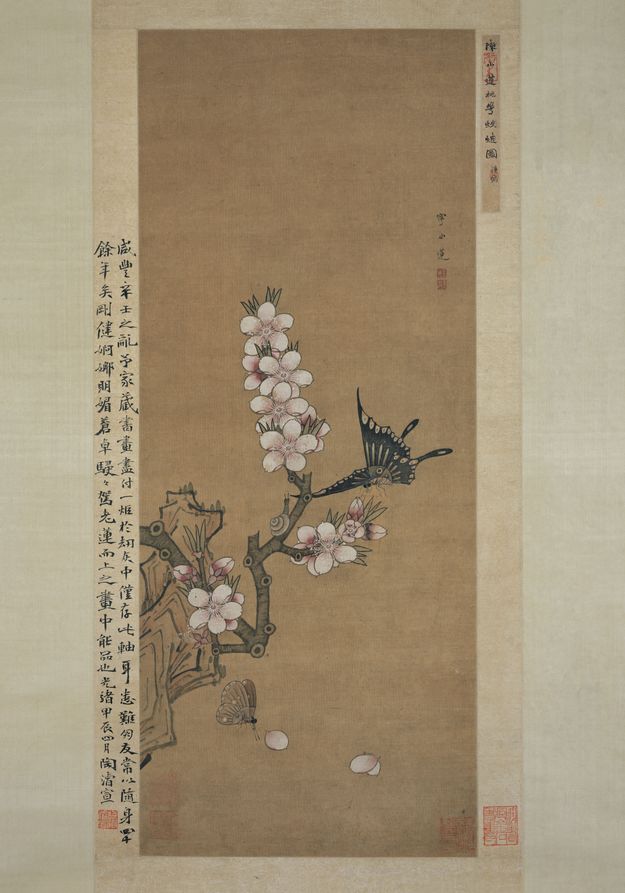 桃花蛱蝶图预览图