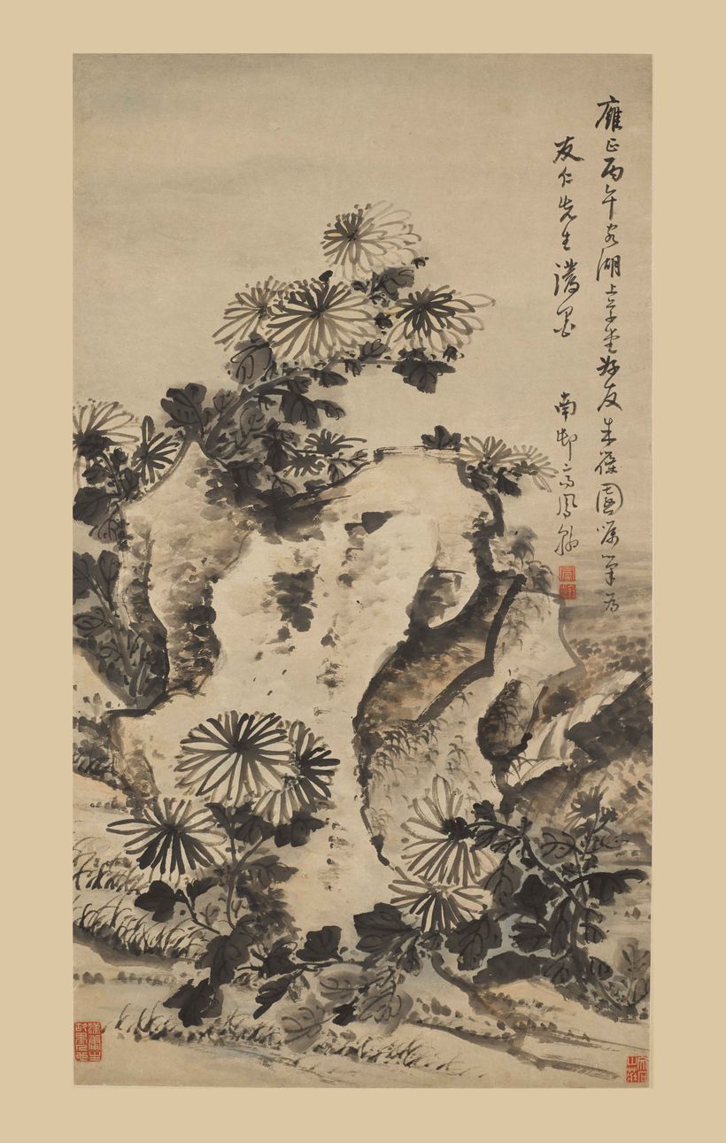 菊石图缩略图