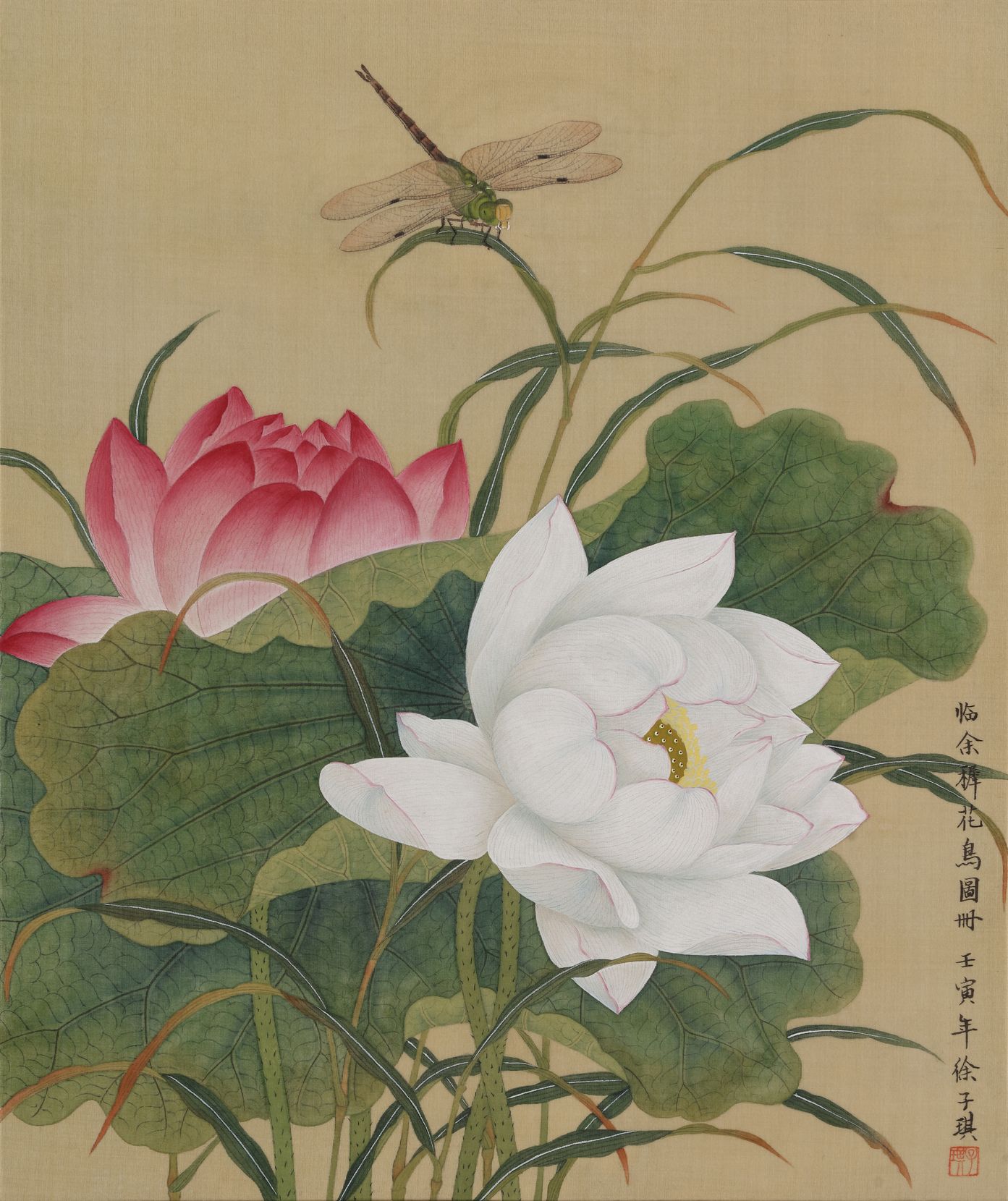 临余穉《花鸟图册》-荷花缩略图