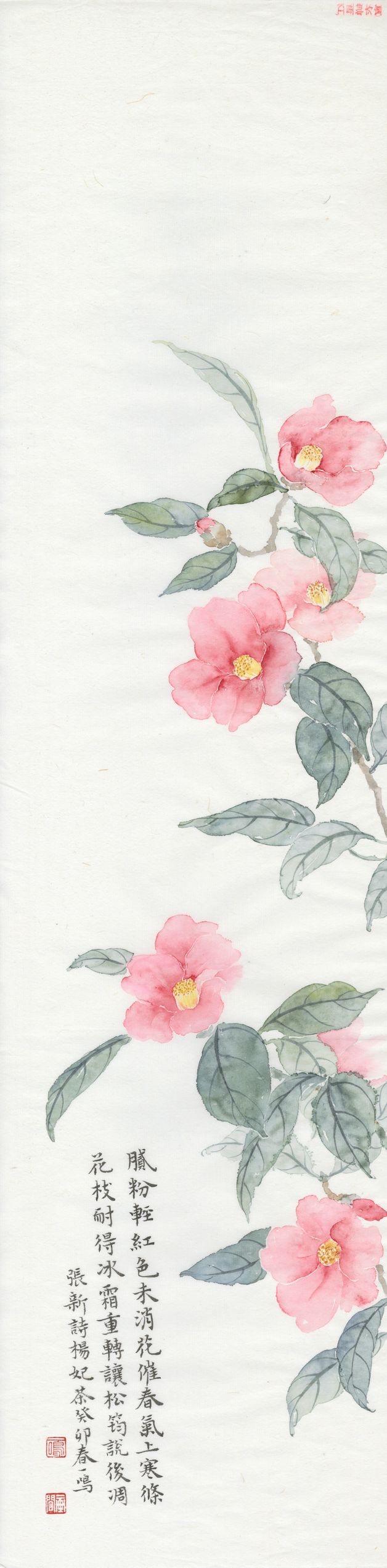 茶花缩略图