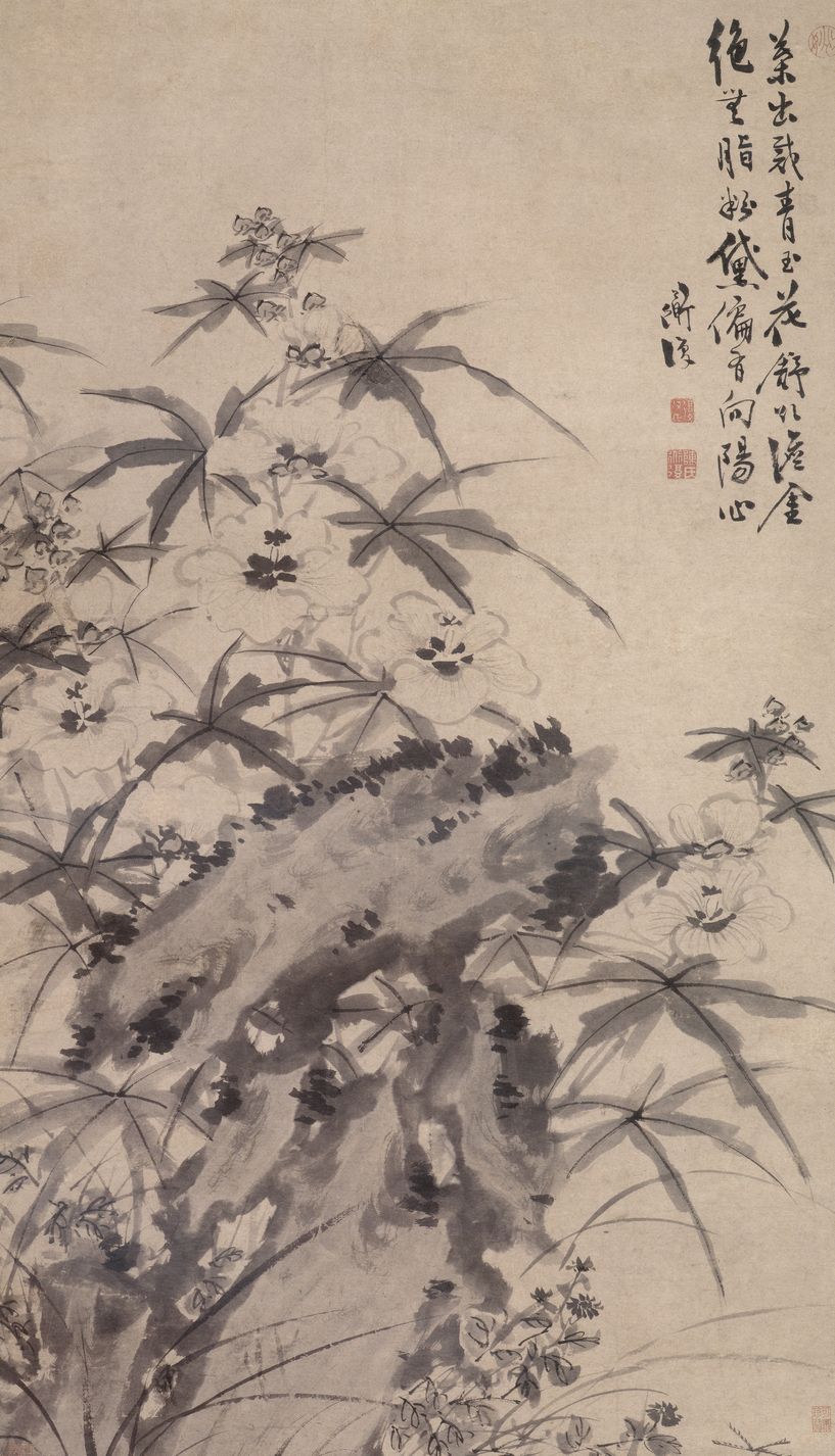 葵石图预览图