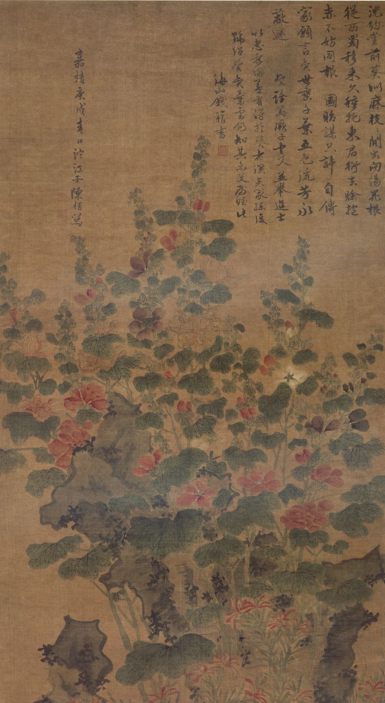蜀葵图缩略图