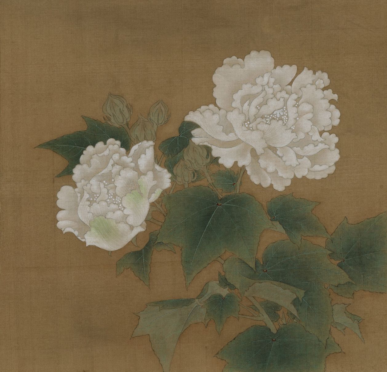 临李迪《红白芙蓉图—白芙蓉图》缩略图