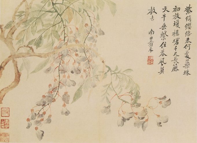 写生花卉册十开预览图
