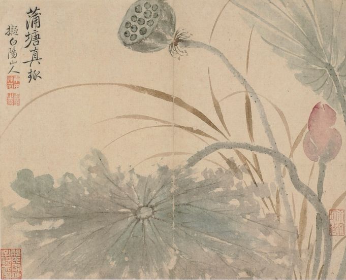 花卉册页十开预览图