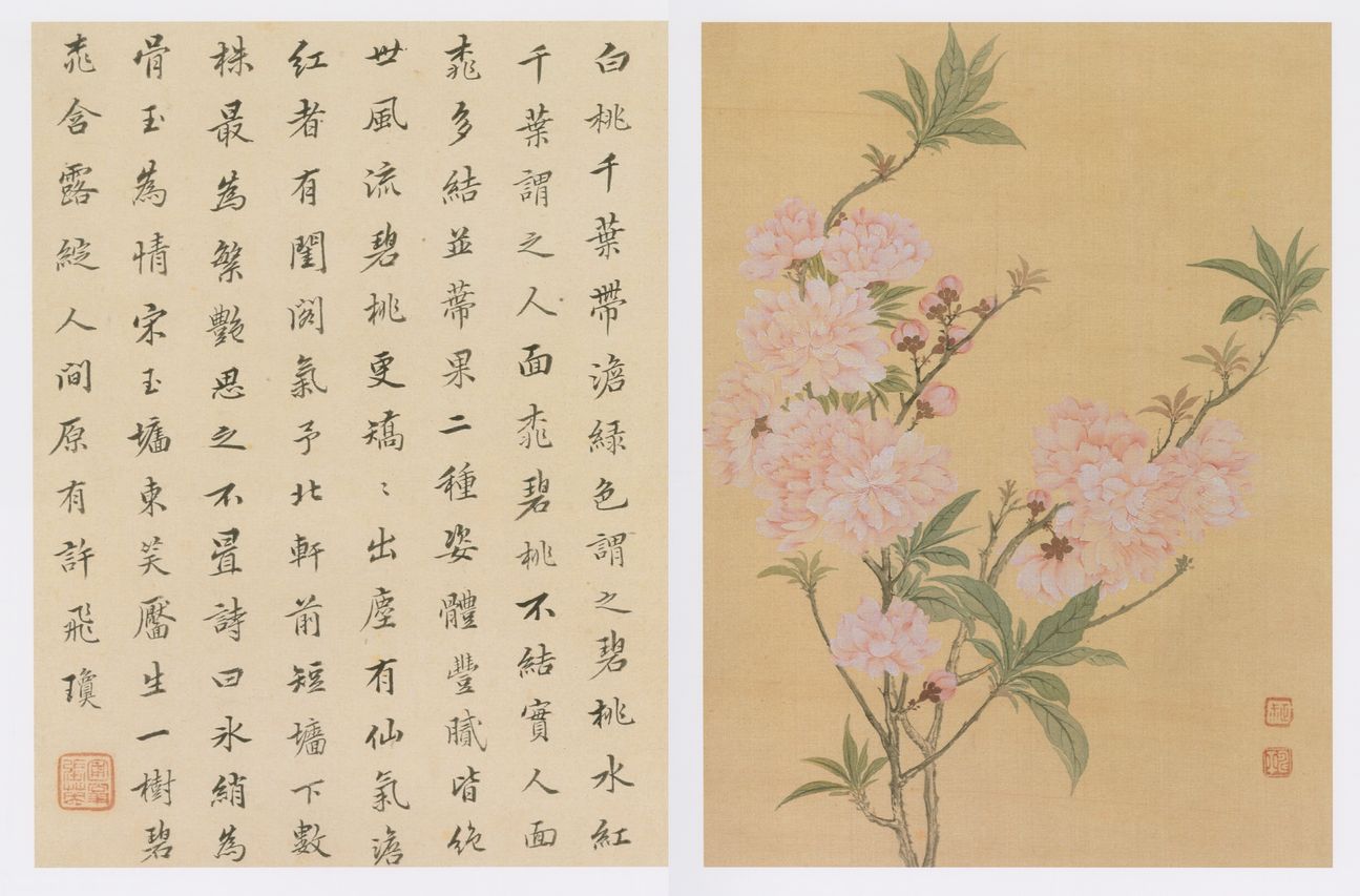 花卉册八开预览图
