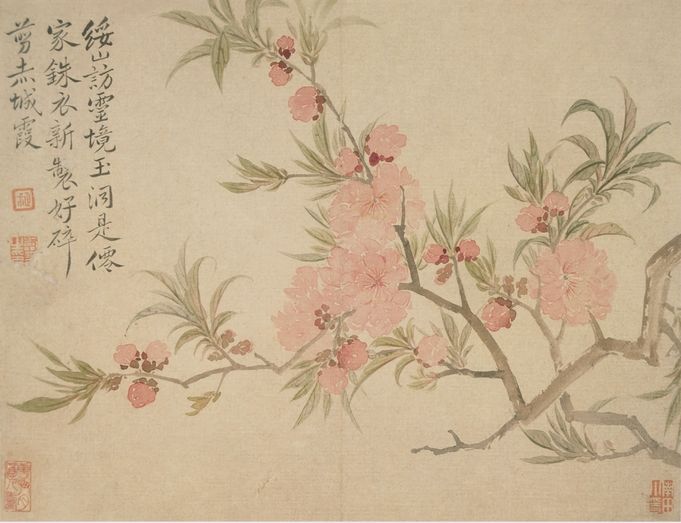 花卉竹石图册预览图