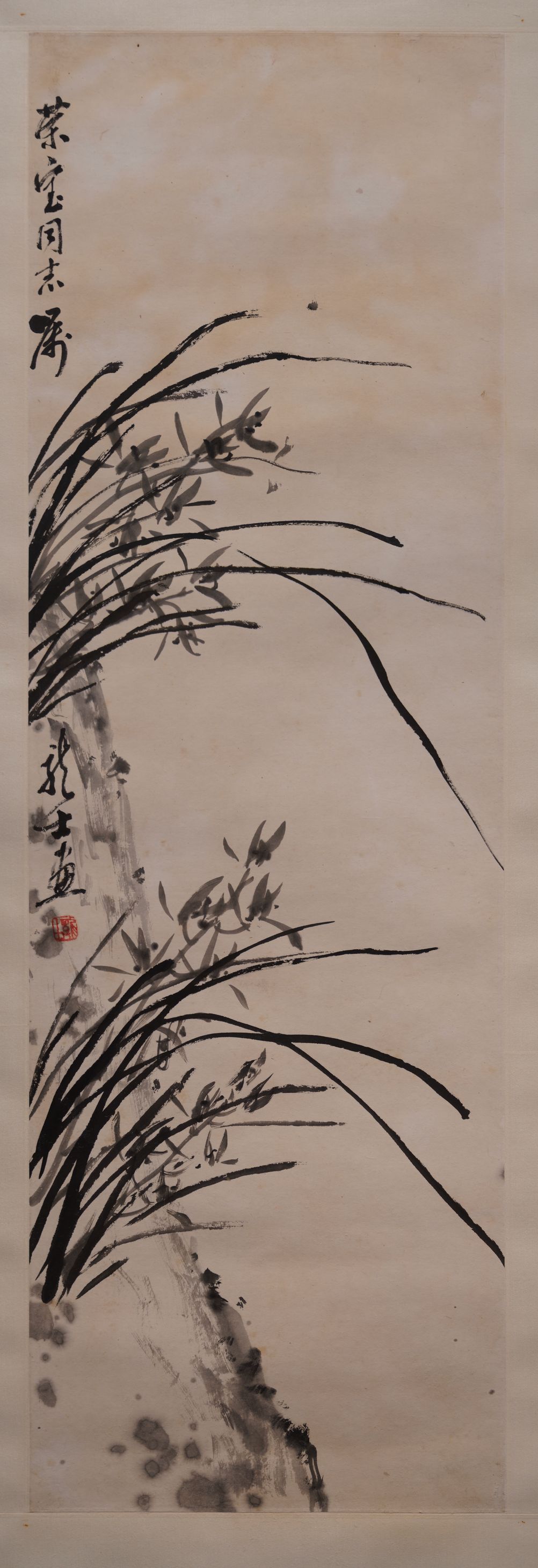 兰草缩略图