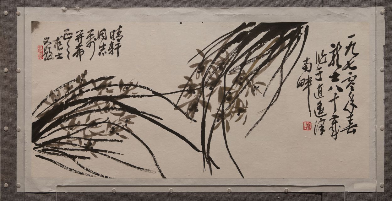 兰草缩略图