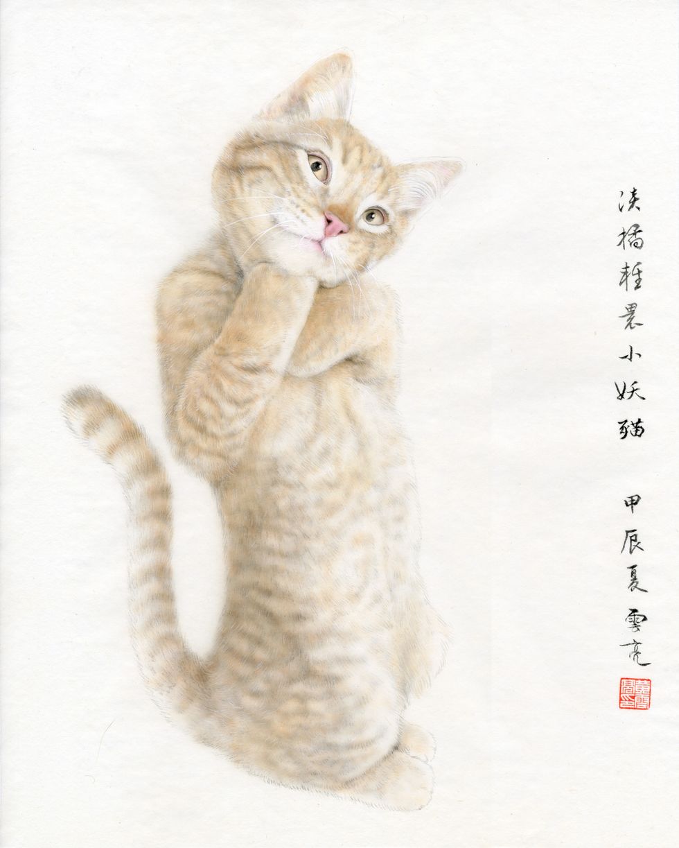 妖娆淡色小黄猫工笔画缩略图