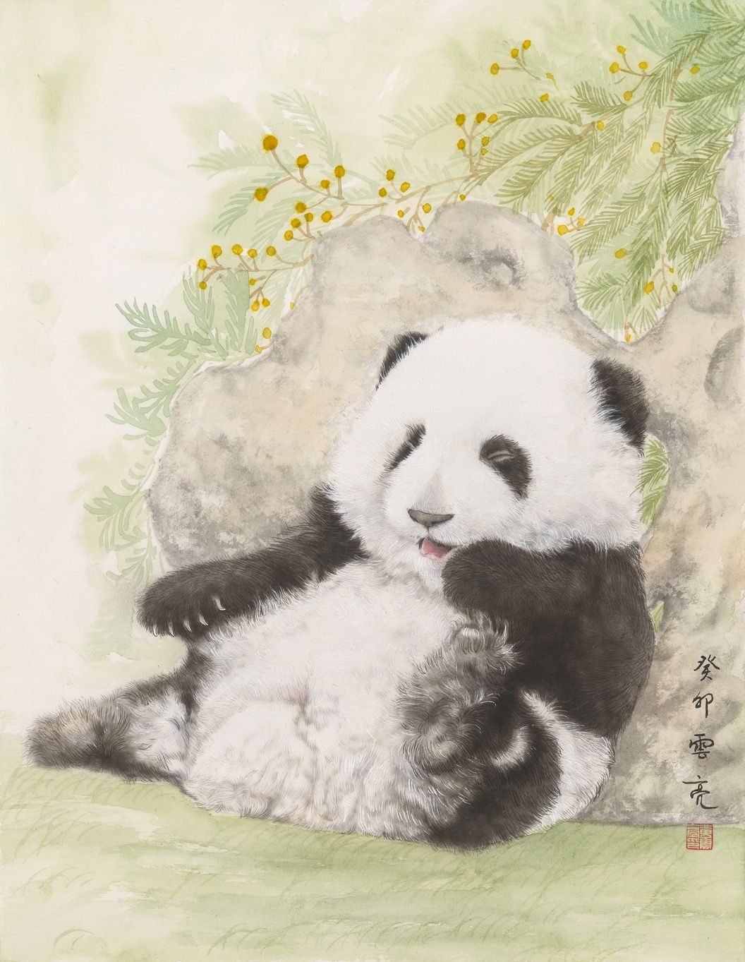 熊猫合欢花缩略图