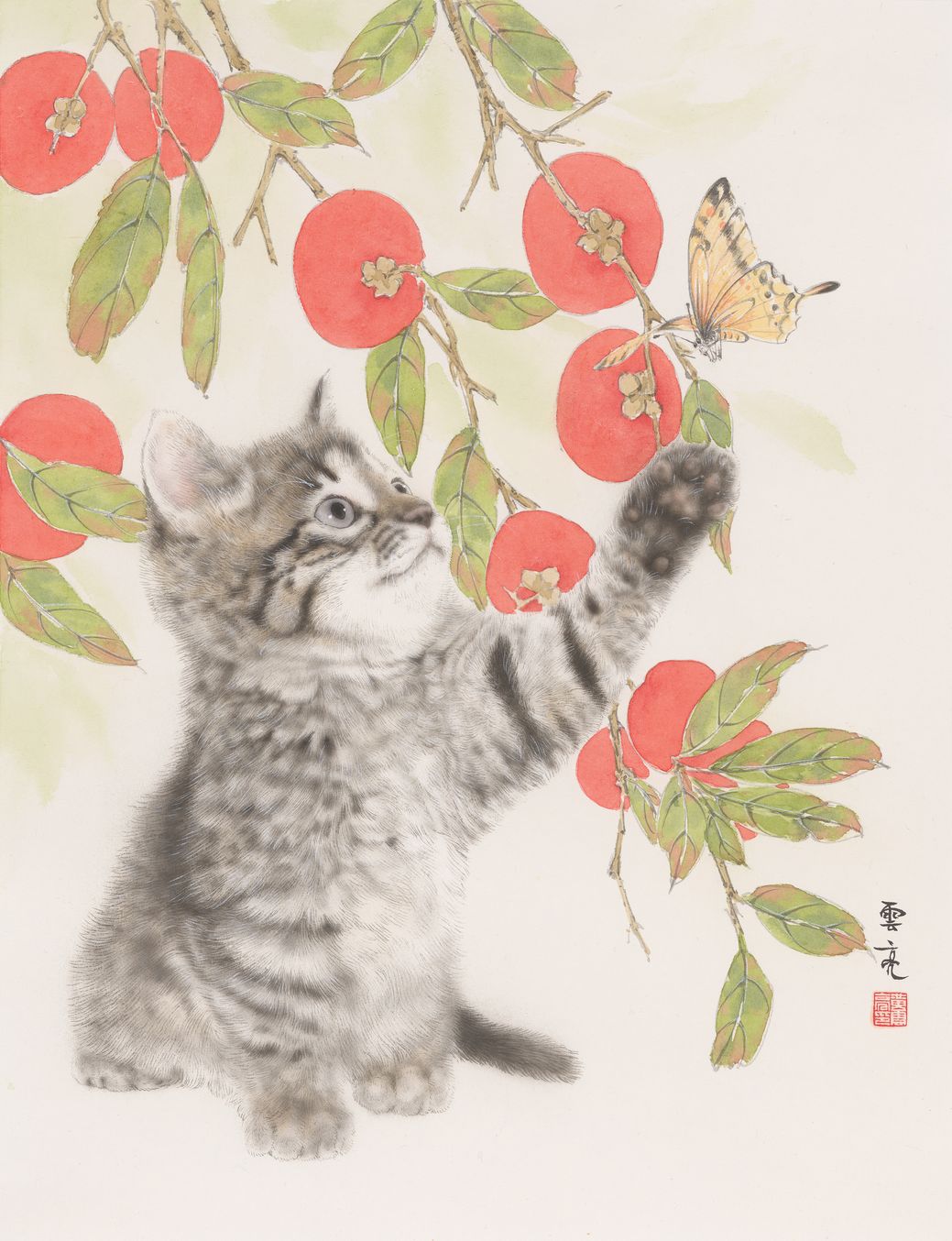 猫蝶柿子图预览图