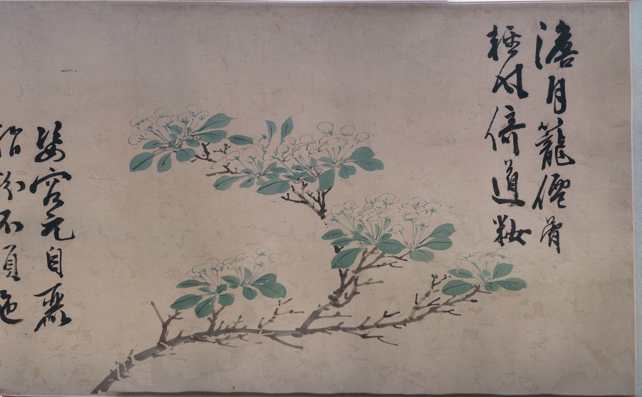 观物之生四季花卉图预览图