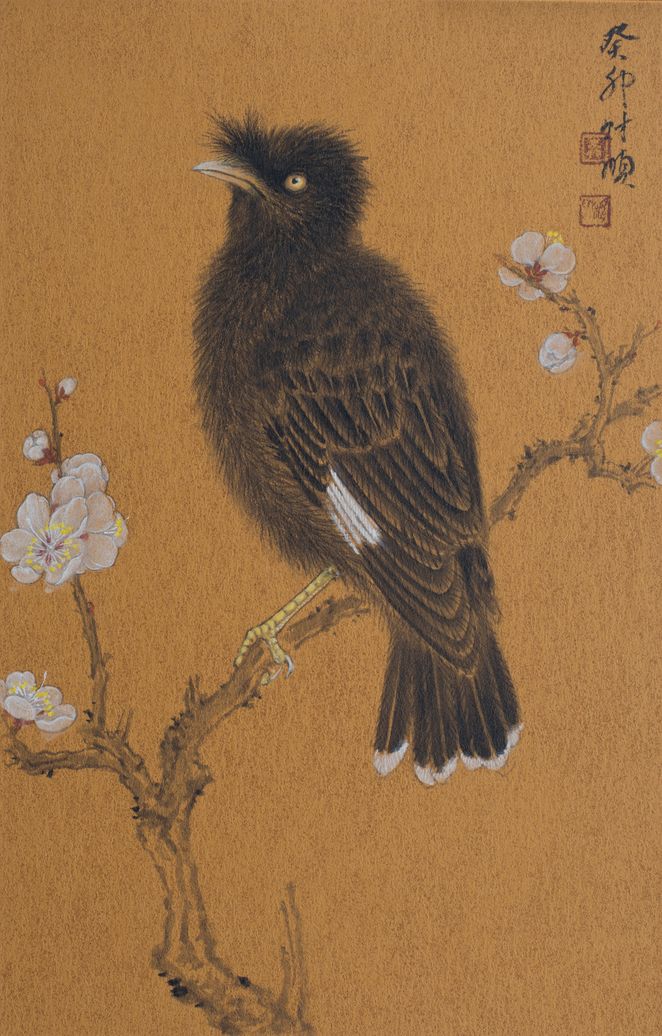梅花八哥图缩略图
