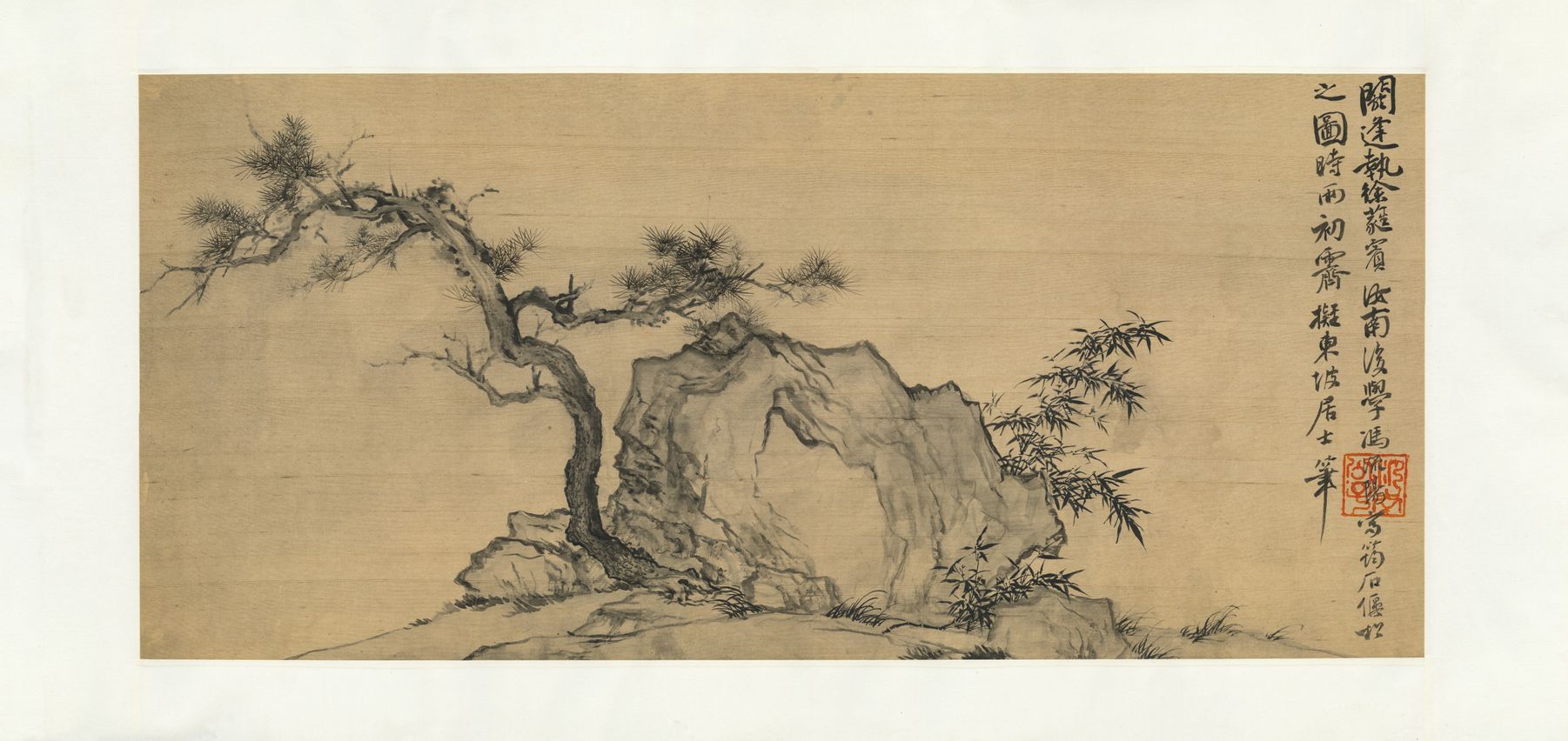 偃松图缩略图