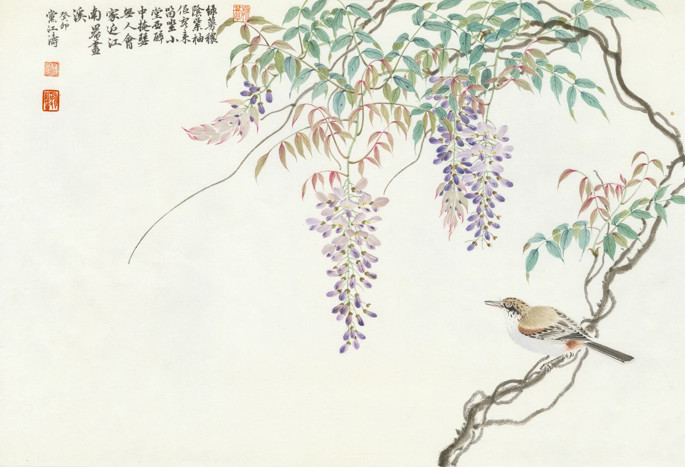紫藤花缩略图