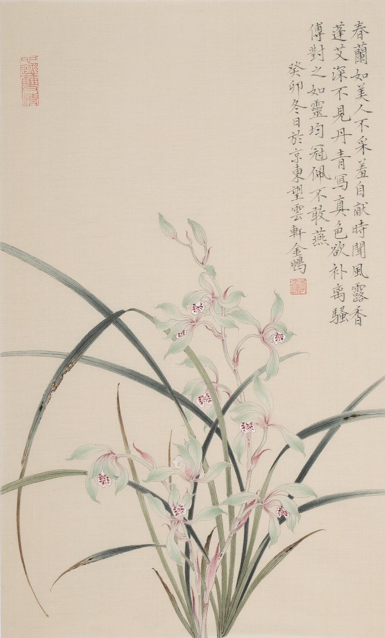 兰花缩略图