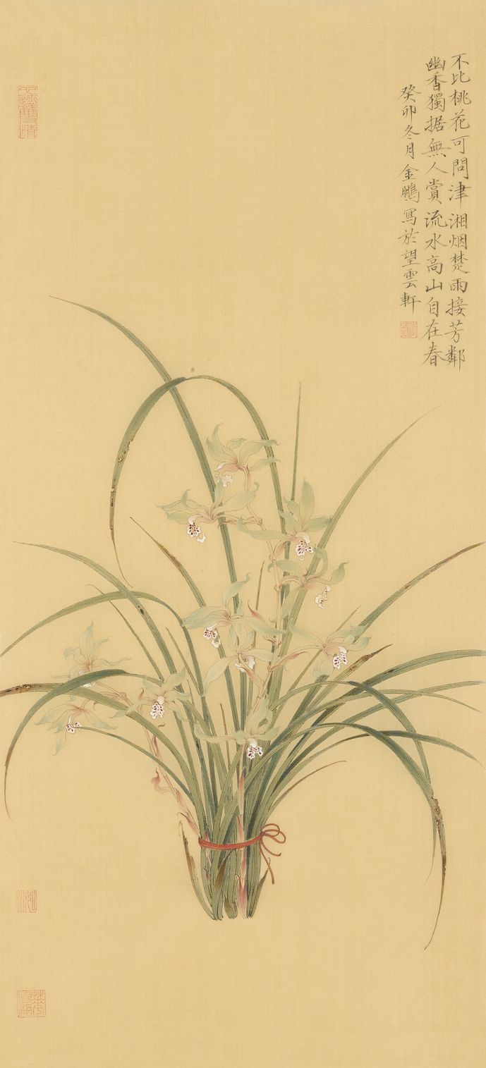 兰花缩略图