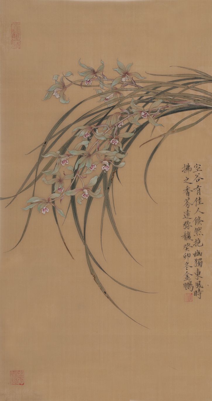 兰花缩略图