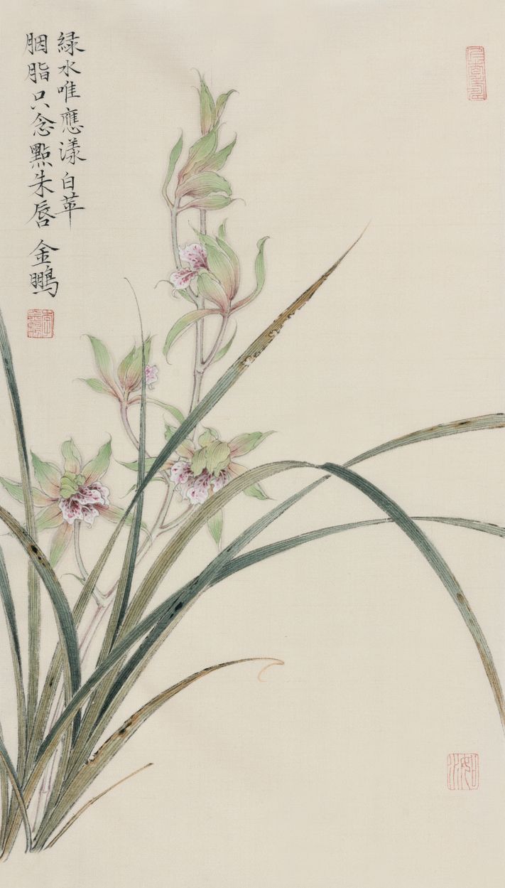 兰花缩略图