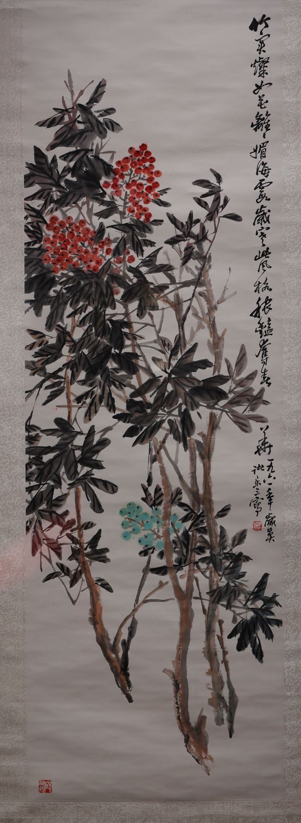 天竹缩略图