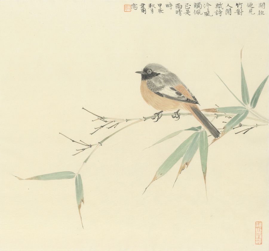 悠禽图缩略图