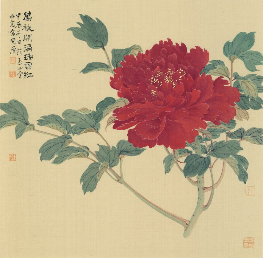 万枝开遍瑞云红缩略图