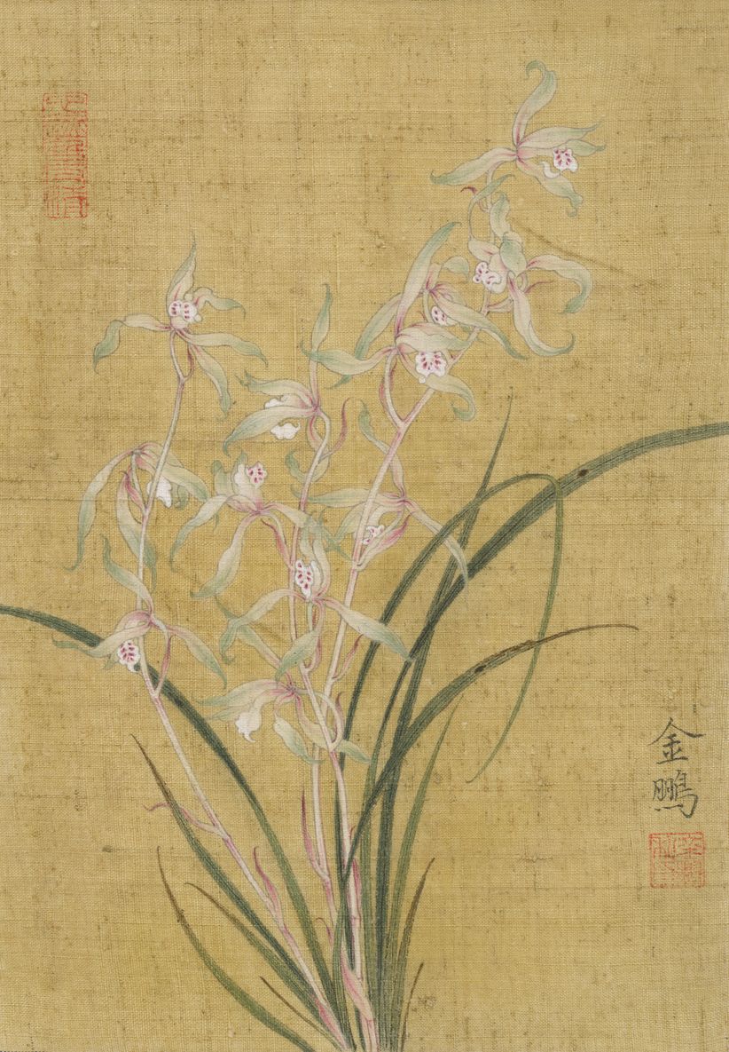 幽兰缩略图