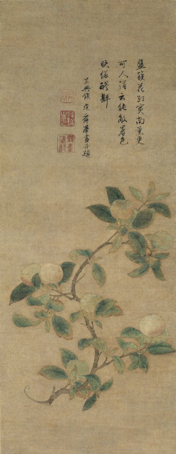 林檎图缩略图