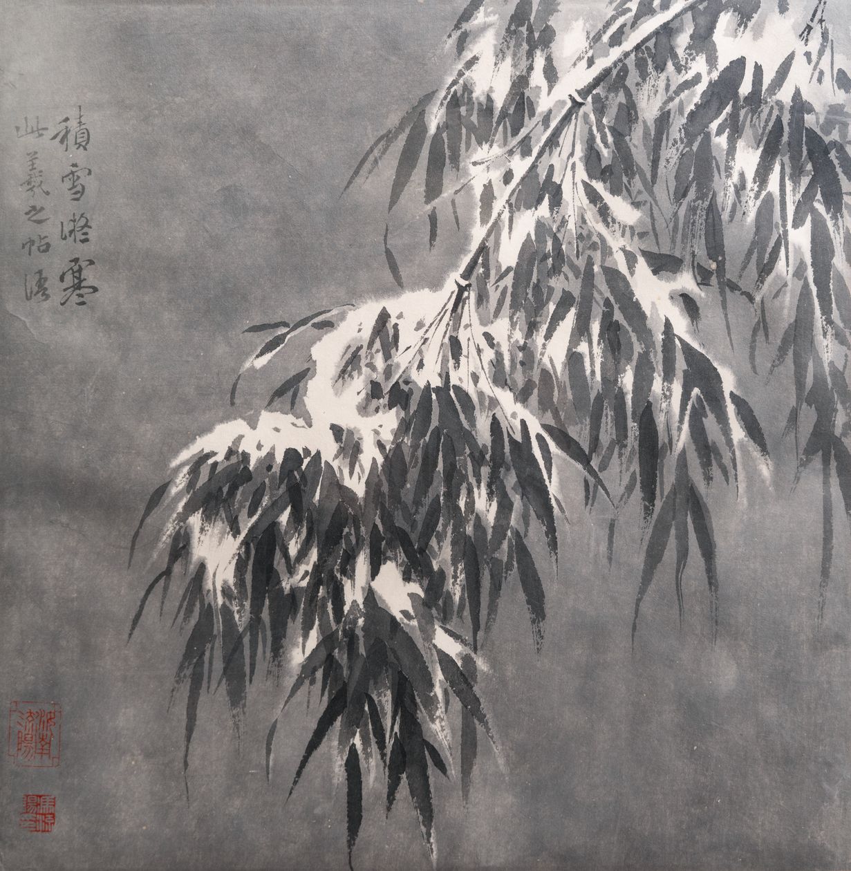 雪竹缩略图