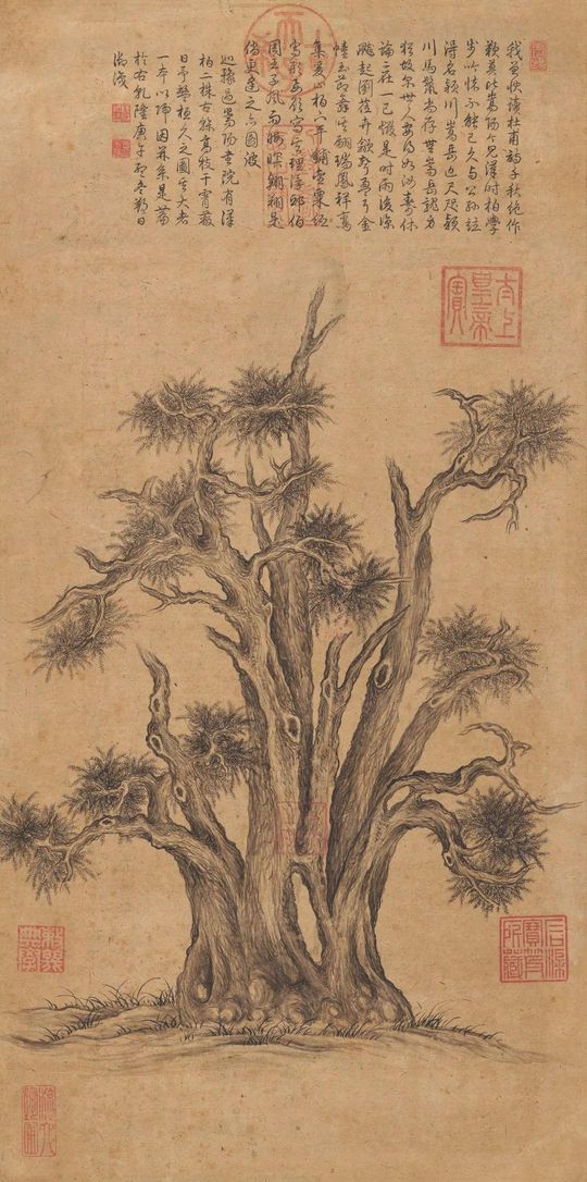 嵩阳汉柏图缩略图