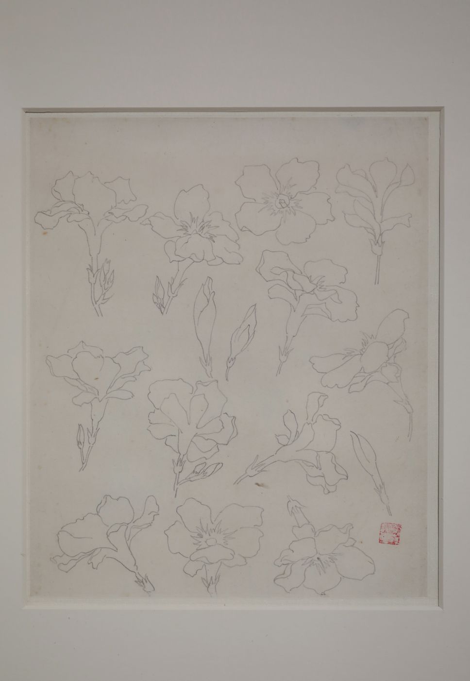 铅笔花朵预览图