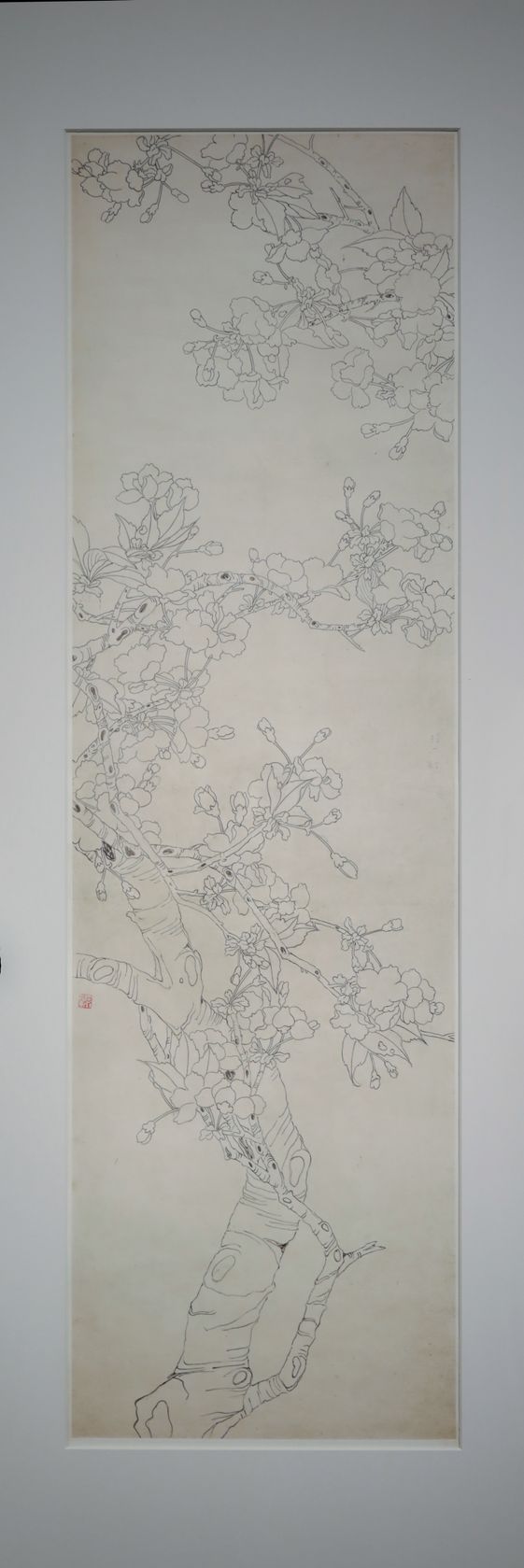 铅笔樱花小鸟预览图
