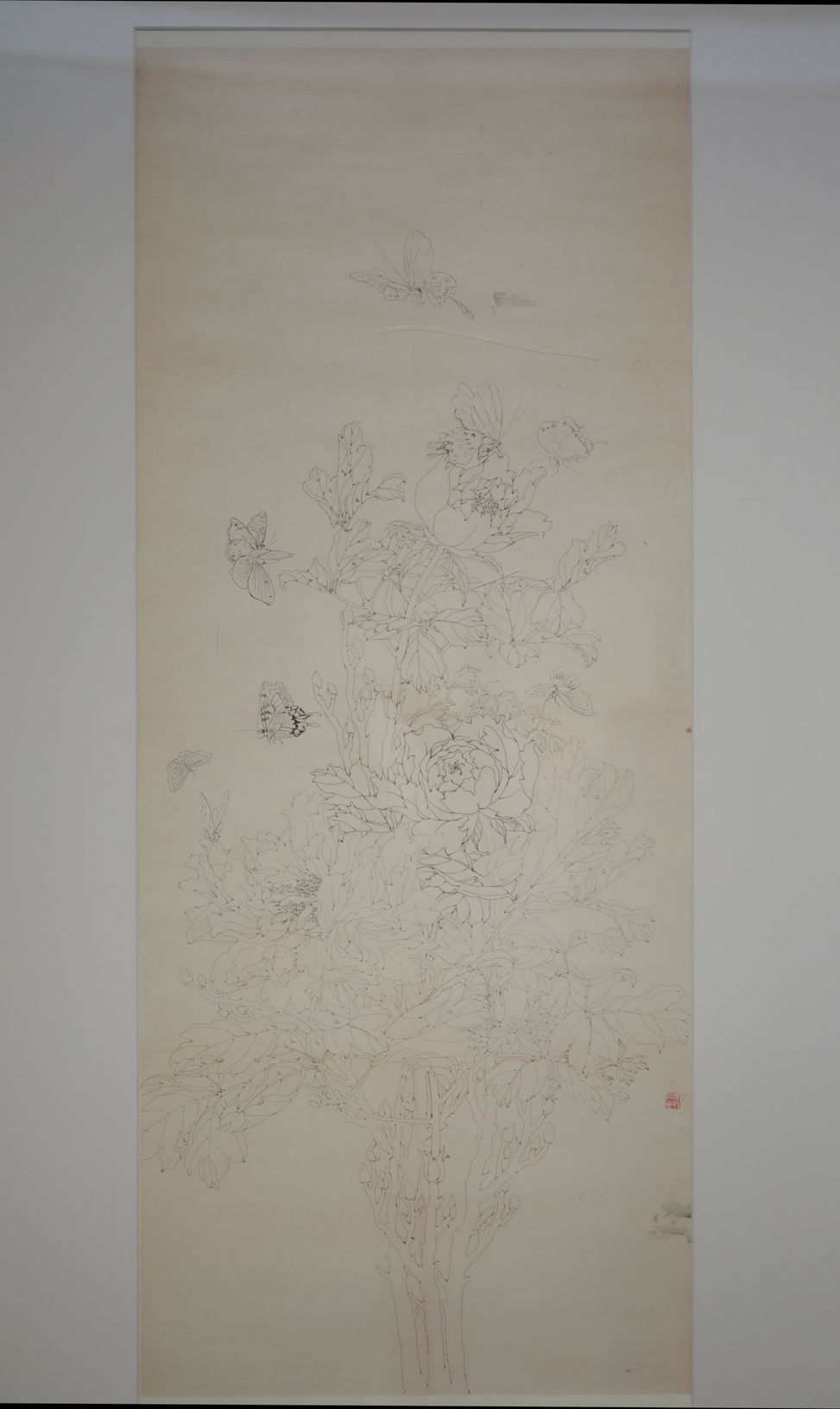 铅笔牡丹蝴蝶预览图