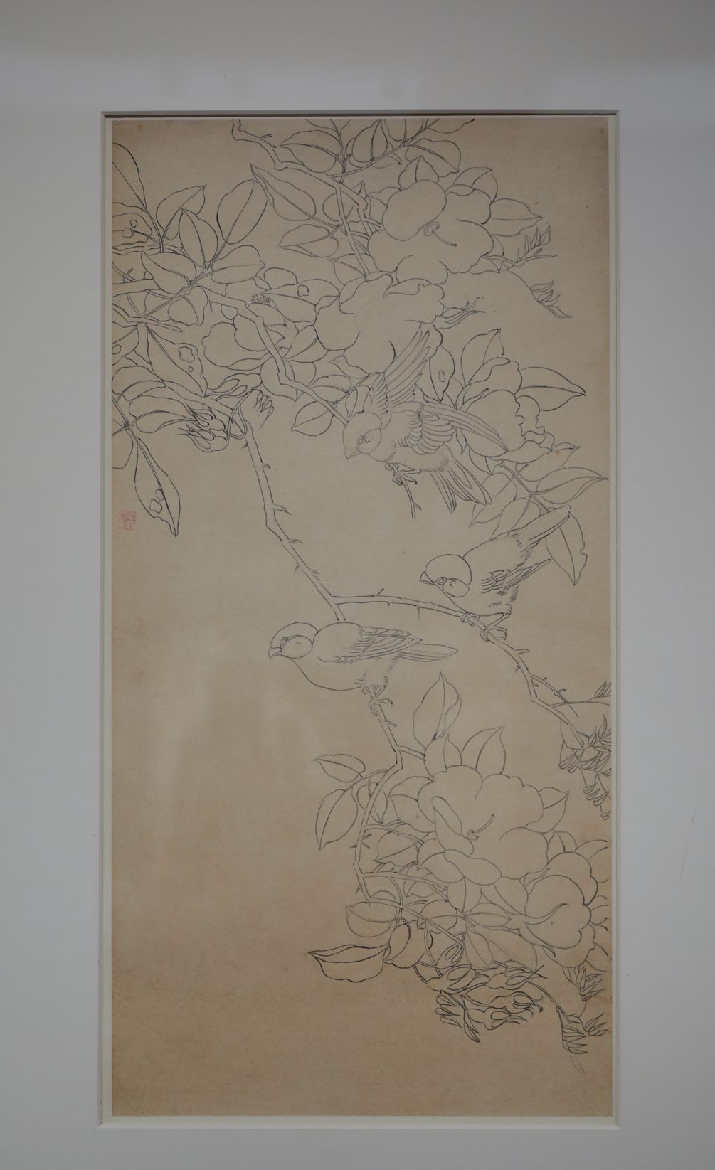 铅笔茶花三雀预览图