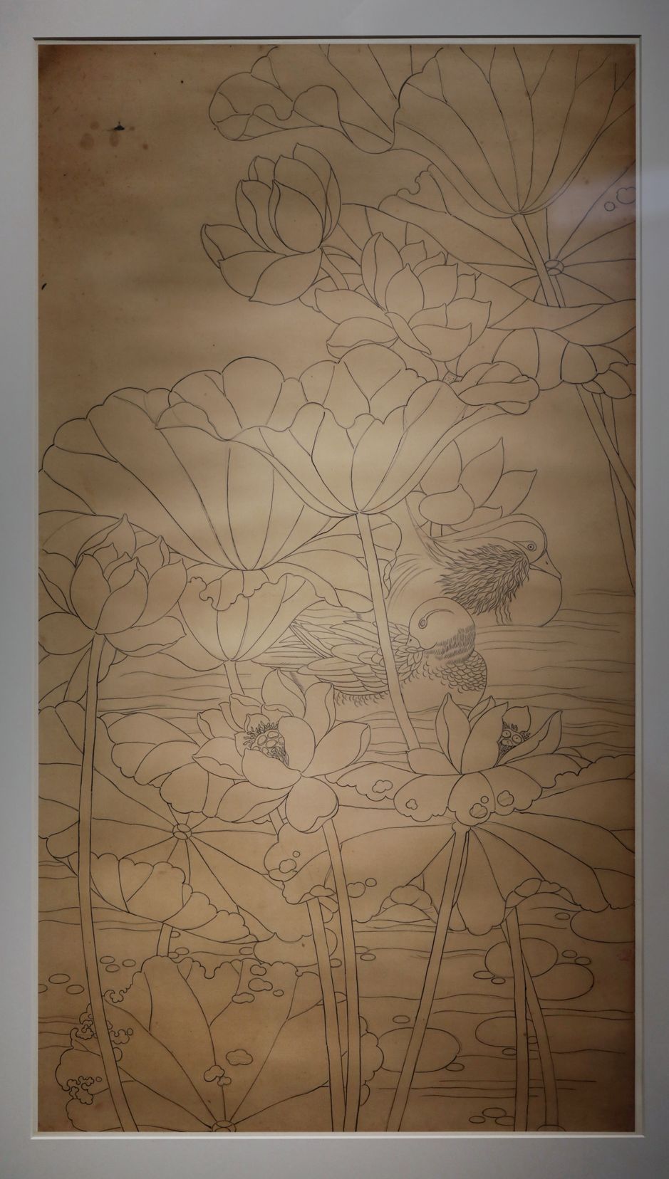 铅笔鸳浴荷花缩略图